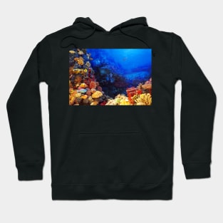 Oceanic Colored Coral Hoodie